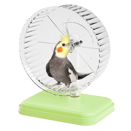 Hamster-Laufrad – geräuscharme Hamster-Übungsräder | Laufausrüstung für Haustiere, drehbar, leise | Werkzeug für ruhige Übung, Doppel-Port, Compag-Tiere von Générique