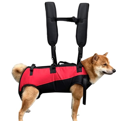 Hund mit Sling | Hip Unterstützung des Geschirrs, Stütz- und Erholungsschlinge, verstellbarer Hundeträger, Rehabilitationsweste für ältere Hunde Hund mit Sling | Hip Unterstützung des Geschirrs, Stütz- und Erholungsschlinge, verstellbarer Hundeträger, Rehabilitationsweste für ältere Hunde von Générique