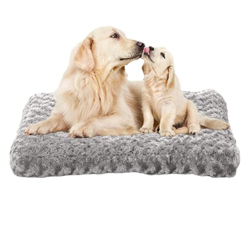 Hundebetten für große Hunde, mittelgroße Hunde | Wasserdichtes Käfigkissen für Hunde, abnehmbares und waschbares Hundebett, rutschfeste Käfigmatte für Hunde, Bett Hundebetten für große Hunde, mittelgroße Hunde | Wasserdichtes Käfigkissen für Hunde, abnehmbares und waschbares Hundebett, rutschfeste Käfigmatte für Hunde, Bett von Générique