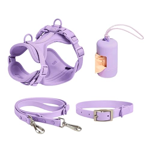 Hundegeschirr-Set – Blei-Set für Katzengeschirr | Hundeleassh-Geschirr | verstellbar aus PVC, modisch, Weste für Haustiere, mühelos mit Blei, Coll von Générique