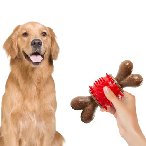 Hundeknochen-Beißspielzeug, Hundeknochen-Kauspielzeug, beruhigendes Beißspielzeug für Hunde, robuste Zahnbürste, Zahnreinigungsstift, Friandis Verteilung Hundeknochen-Beißspielzeug, Hundeknochen-Kauspielzeug, beruhigendes Beißspielzeug für Hunde, robuste Zahnbürste, Zahnreinigungsstift, Friandis Verteilung von Générique