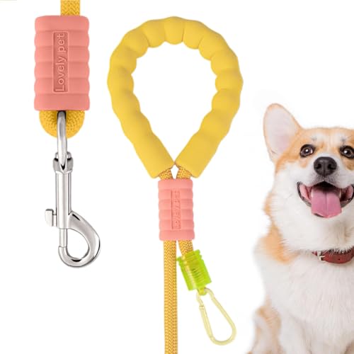 Hundeleine, Dressurseil für Hunde, Blei, farbig, verstellbares Hundehalsband mit bequemem Griff, Befestigung für Hunde zum Spielen, Camping, Wandern, Training Hundeleine, Dressurseil für Hunde, Blei, farbig, verstellbares Hundehalsband mit bequemem Griff, Befestigung für Hunde zum Spielen, Camping, Wandern, Training von Générique