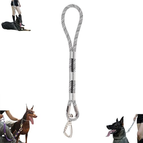 Hundeleine mit Zugfestigkeit für große Hunde, 2 x Widerstand, Karabinerhaken aus Bleilegierung + Anti-Wicklung (12 mm Breite, 0,6 m/1 m/1,5 m/2 m) – taktische Leine für große Rassen von Générique