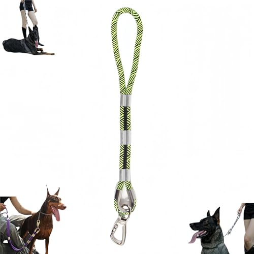 Hundeleine mit Zugfestigkeit für große Hunde, 2 x Widerstand, Karabinerhaken aus Bleilegierung + Anti-Wicklung (12 mm Breite, 0,6 m/1 m/1,5 m/2 m) – taktische Leine für große Rassen von Générique