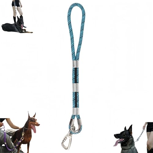 Hundeleine mit Zugfestigkeit für große Hunde, 2 x Widerstand, Karabinerhaken aus Bleilegierung + Anti-Wicklung (12 mm Breite, 0,6 m/1 m/1,5 m/2 m) – taktische Leine für große Rassen von Générique
