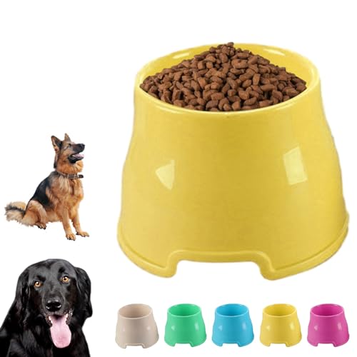 Hundenapf mit langen Ohren, erhöhter Futternapf für Futter und Wasser, Wassernapf für Hunde, großer rutschfester Napf, erhöhter Futternapf für kleine, mittlere und große Hunde Hundenapf mit langen Ohren, erhöhter Futternapf für Futter und Wasser, Wassernapf für Hunde, großer rutschfester Napf, erhöhter Futternapf für kleine, mittlere und große Hunde von Générique