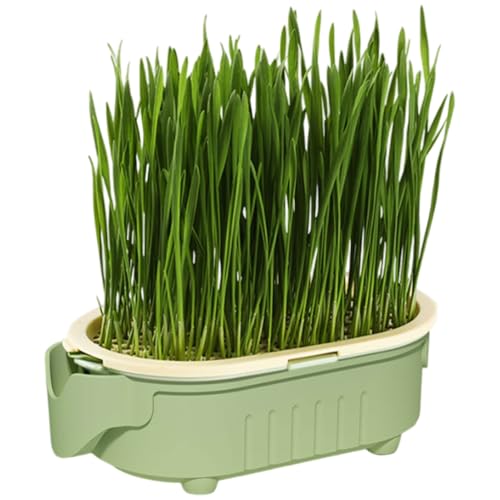 Hydroponic Cat Grass Tray, Indoor Grass Growing Kit, Easy Hollow Design Watering System, Sprouting Box Ideal for Courtyard, Windowsill, Pet Snack Growing, 6,46 x 3,46 x 2,01 Zoll Hydroponic Cat Grass Tray, Indoor Grass Growing Kit, Easy Hollow Design Watering System, Sprouting Box Ideal for Courtyard, Windowsill, Pet Snack Growing, 6,46 x 3,46 x 2,01 Zoll von Générique