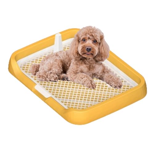 Indoor Dog Potty Tray | Mesh Grids Potty Tray | Easy Cleaning Pet Potty, Removable Column Dog Potty, Simple Setup Pee Holder, Puppy Potty Tray, Pet Potty Tray with Mesh, Indoor Pee Tray for Pets Indoor Dog Potty Tray | Mesh Grids Potty Tray | Easy Cleaning Pet Potty, Removable Column Dog Potty, Simple Setup Pee Holder, Puppy Potty Tray, Pet Potty Tray with Mesh, Indoor Pee Tray for Pets von Générique