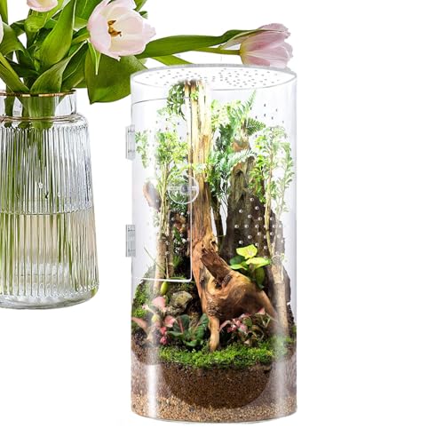 Jumping Spider Enclosure, Arboreal Reptile Acrylic Tank, Waterproof Reptile Enclosure with Front Opening Door, Perfect for Tarantulas, Frogs, Praying Mantis and Snails von Générique