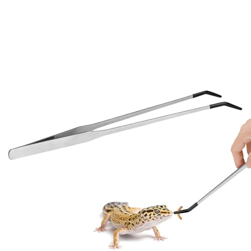 Kaktus-Drache mit langer Pinzette für Aquarium, langer Twezer – Terrarium-Zubehör aus Edelstahl, 10,6 Zoll (26,6 cm) für Spider Snake von Générique