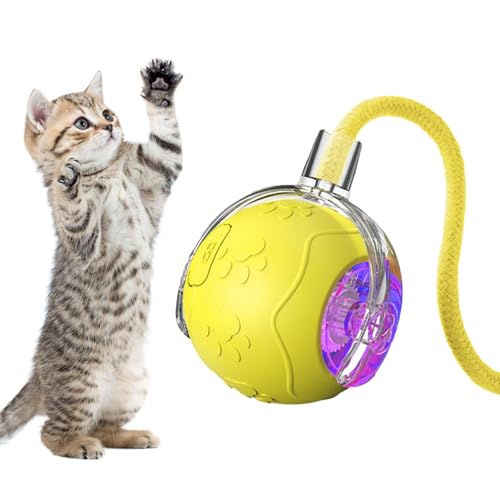 Katzenball in Bewegung, interaktives Katzenballspielzeug, Cat Toys Ball Rolling Automatic mit Seil, Haustierbedarf, Katzenkugel für Haustiere, Reca-Katzenball Katzenball in Bewegung, interaktives Katzenballspielzeug, Cat Toys Ball Rolling Automatic mit Seil, Haustierbedarf, Katzenkugel für Haustiere, Reca-Katzenball von Générique