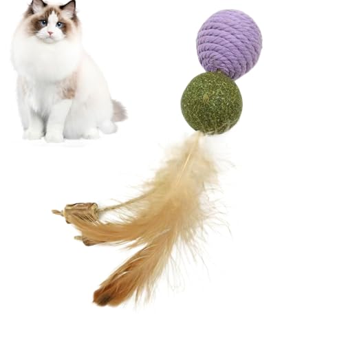 Katzenfeder-Spielzeug, Katzenfederball | Katzenspielzeug, Katzenspielzeug, Katzenspielzeug, Kätzchenball, interaktives Kauspielzeug für Haustiere, Stressabbau Katzenfeder-Spielzeug, Katzenfederball | Katzenspielzeug, Katzenspielzeug, Katzenspielzeug, Kätzchenball, interaktives Kauspielzeug für Haustiere, Stressabbau von Générique
