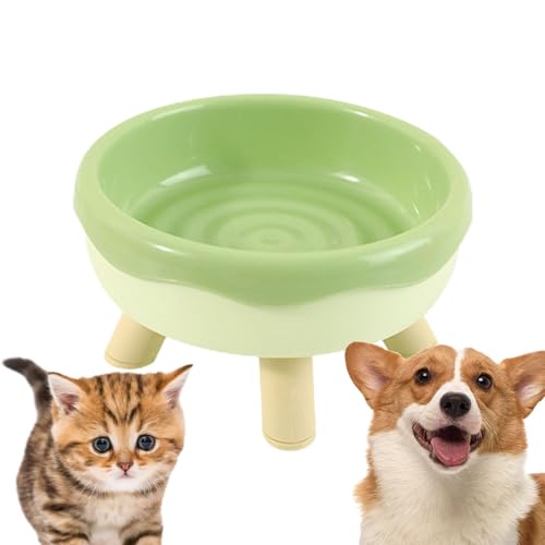 Katzennapf gegen Erbrechen, erhöhter geneigter Futternapf, Donut Design Katzenfutter, erhöhter Futternapf, Haustierbedarf, erhöhte Katzenschüssel von Générique