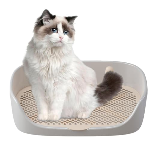 Katzentoilette für Hunde – für Haustiere innen und außen, leicht zu reinigen | Halterung für Hunde-Töpfchen, Hundetoilette Katzentoilette für Hunde – für Haustiere innen und außen, leicht zu reinigen | Halterung für Hunde-Töpfchen, Hundetoilette von Générique