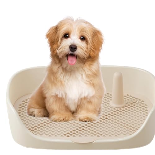 Katzentoilette für Hunde – tragbare Toilettenmatte für Haustiere, zum Erlernen der Sauberkeit für Hunde mit Schutzwand | Katzentoilette für drinnen und draußen, ungiftige Lösung Katzentoilette für Hunde – tragbare Toilettenmatte für Haustiere, zum Erlernen der Sauberkeit für Hunde mit Schutzwand | Katzentoilette für drinnen und draußen, ungiftige Lösung von Générique