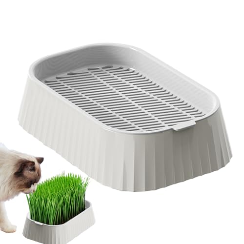 Katzentoilette für den Innenbereich | Keimschale für die Anzucht von Katzen, Hydrokultur-Container mit zwei Schichten, Pflanzwerkzeuge, Gärtnerei für Keimung Katzentoilette für den Innenbereich | Keimschale für die Anzucht von Katzen, Hydrokultur-Container mit zwei Schichten, Pflanzwerkzeuge, Gärtnerei für Keimung von Générique