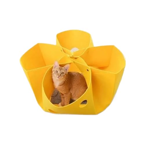Katzentunnel, Felt Cat Donut-Tunnel, Nest, 13,78 x 13,78 x 1,97 Zoll, verformbar, Hideaway interaktives Enrichment Spielzeug, abnehmbarer Kitten Playground für Puppies, Kitten Katzentunnel, Felt Cat Donut-Tunnel, Nest, 13,78 x 13,78 x 1,97 Zoll, verformbar, Hideaway interaktives Enrichment Spielzeug, abnehmbarer Kitten Playground für Puppies, Kitten von Générique
