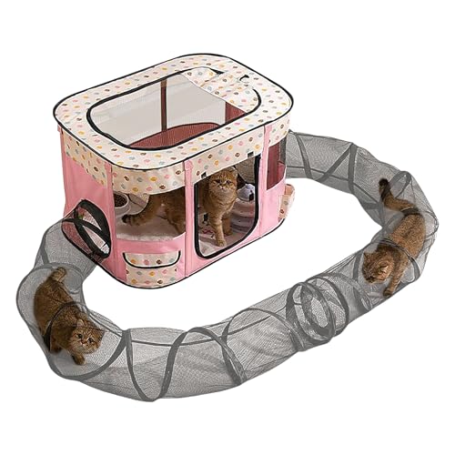 Katzentunnel, geschlossene Haustier-Tunnel, Playground, 35,43 x 27,56 x 23,62 Zoll, Easy-Setup geräumige Kitten Playpen, ideal für Garten, Lawn, Yard, Balkon, Outdoor, Spaß, Pink/Grün/Blau Katzentunnel, geschlossene Haustier-Tunnel, Playground, 35,43 x 27,56 x 23,62 Zoll, Easy-Setup geräumige Kitten Playpen, ideal für Garten, Lawn, Yard, Balkon, Outdoor, Spaß, Pink/Grün/Blau von Générique