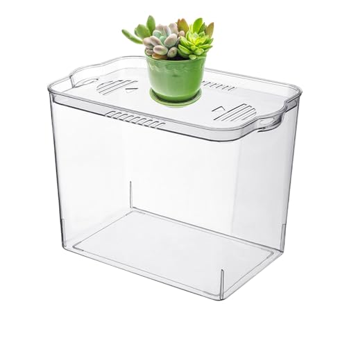 Kleines Aquarium Cube Tank, vielseitig verwendbare Fischschale für Haustierfische, Shrimp, Turtles, temporäre Aquarien für Wasserweed, kompakter Lebensraum für kleine Aquatic Pets, 35 x 40 x 40 cm von Générique