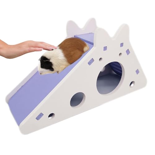 Kleines Hamsterhaus | Kletterleiter für Hamster Versteck Hamster Spielzeug Hamsterhaus Versteck Rutsche Kleintiere Rennmäuse Leiter Käfig Deko Zubehör von Générique