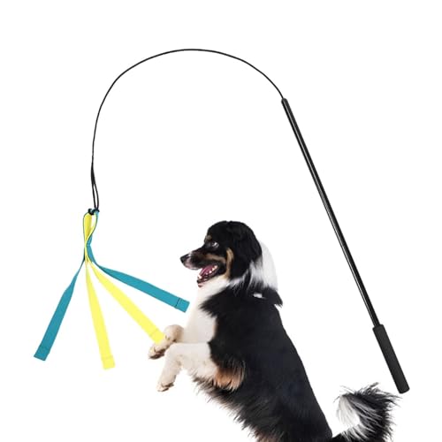 Köderstab für Hunde, Teaser für Hunde, Flirtköderspielzeug, interaktives Spielzeug für Hunde für ein lustiges Gehorsamstraining, spleißbares Design, von Générique