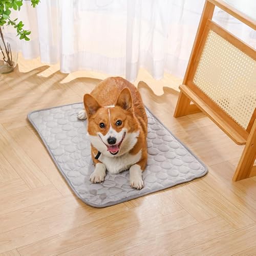 Kühlmatte für Haustiere, Kühlmatte für Hunde, selbstkühlend, Matte für Haustiere, kühlende Matratze für Tiere, tragbar, waschbar, kratzfest (Grau, M) von Générique