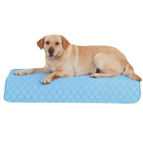 Kühlmatte für Hunde, Kühlmatte, wasserdicht, tragbar und waschbar, für Haustiere, Haus, Reisen, Outdoor, Auto, Camping, Büro Kühlmatte für Hunde, Kühlmatte, wasserdicht, tragbar und waschbar, für Haustiere, Haus, Reisen, Outdoor, Auto, Camping, Büro von Générique