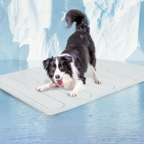 Kühlmatte für Hunde, tragbar, kühlende Matte für Katzen, verschiedene Größen, Kühlmatte aus Eisseide, für Tiere im Sommer (150 x 101 cm) von Générique