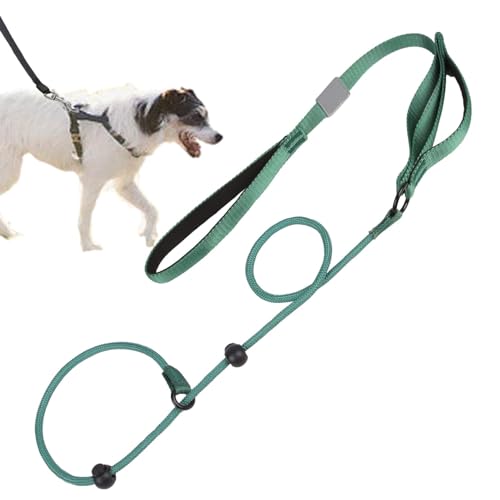 Lange Leine für Hundetraining | Befestigungsseil 5,6 Fuß rutschfest | Erinnerungsleine mit gepolstertem Griff | einfache und robuste Kontrolle für mittelgroße und große Hunde Lange Leine für Hundetraining | Befestigungsseil 5,6 Fuß rutschfest | Erinnerungsleine mit gepolstertem Griff | einfache und robuste Kontrolle für mittelgroße und große Hunde von Générique