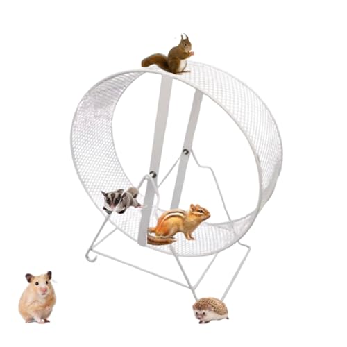 Laufrad für Hamster, leises Laufrad, leises Rad für Kleintiere, Laufrad für Hamster, Mäuse, Rennmäuse, kleine Haustiere von Générique