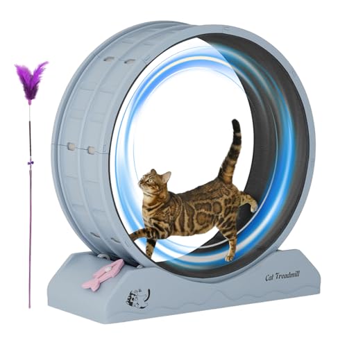 Laufrad für Katzen, Laufrad für Katzen, leises Trainingsgerät für Kätzchen – große Katzen trainieren ein Laufrad mit Teaser, Kätzchen für den Innenbereich von Générique