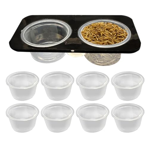 Lizard Water Bowl, Reptile Feeding Dish, Gecko Water Feeder, Crested Gecko Container with Space Saving and Abnehmbares Design für einfache Reinigung oder Flüssigkeit, 1 Stück von Générique