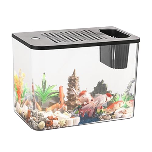 Mini Betta Fish Tank - Small Display Aquarium, Transparenter Fischlebensraum für den Schreibtisch mit Beobachtungsfenster | Kompakte Schildkrötentanks für die Aufzucht, transparenter Tank für Fische von Générique