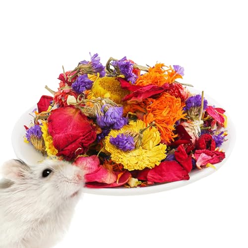 Mischung aus getrockneten Hamsterblüten – Blumenstreu auf Basis von botanischen Gerüchen | Eco Nesting Enrichment, Käfig zur Dekoration von Kräutern für kleine Haustiere, Rennmäuse Mischung aus getrockneten Hamsterblüten – Blumenstreu auf Basis von botanischen Gerüchen | Eco Nesting Enrichment, Käfig zur Dekoration von Kräutern für kleine Haustiere, Rennmäuse von Générique