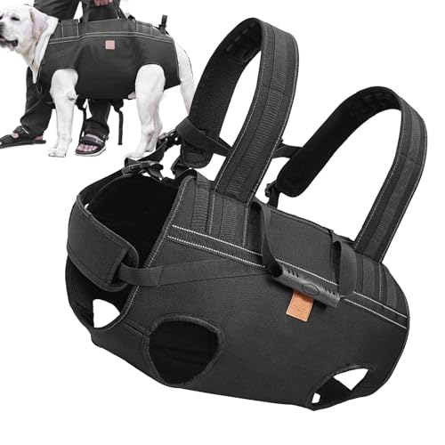Mobilitätsgeschirr für Hunde | Unterstützungs- und Rehabilitationsgeschirr | Verstellbare atmungsaktive Schlinge für Mobilität, Erholung, tägliche Pflege, Spaziergänge, Seniorenpflege im Freien von Générique