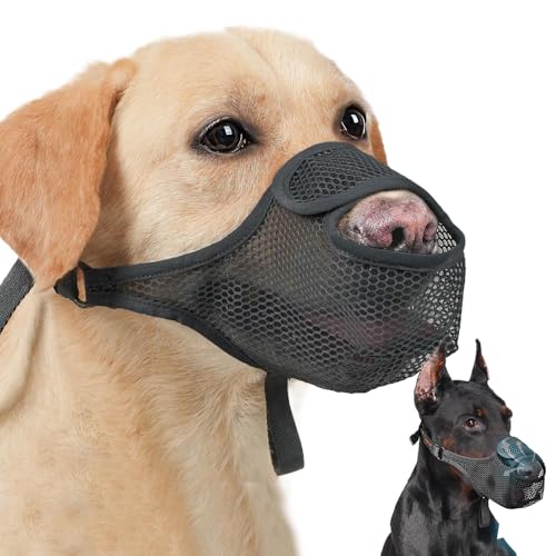 Muzzle for Dog, Breathable Anti-Barking Cover, Soft Adjustable Mesh Guard, Scavenging and Licking Prevention, Comfortable Pet Restraint for Training and Safety Muzzle for Dog, Breathable Anti-Barking Cover, Soft Adjustable Mesh Guard, Scavenging and Licking Prevention, Comfortable Pet Restraint for Training and Safety von Générique