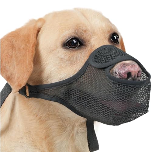 Muzzle for Dog, Breathable Anti-Barking Cover, Soft Adjustable Mesh Guard, Scavenging and Licking Prevention, Comfortable Pet Restraint for Training and Safety Muzzle for Dog, Breathable Anti-Barking Cover, Soft Adjustable Mesh Guard, Scavenging and Licking Prevention, Comfortable Pet Restraint for Training and Safety von Générique