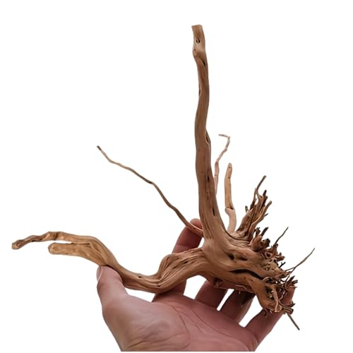 Natürliches Treibholz für Aquarium – 3 Größen erhältlich (10–15 cm │ 15–20 cm │ 20–25 cm) – 100 % umweltfreundliche Dekoration, Verstecke & Zuflucht, biologischer Zyklus, verstärkt, authentischer Stil von Générique