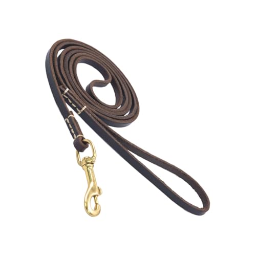 No Pull Rope, Dog Training Behavior Aids, Dog Safety Belt Car, Ergonomisches Design für Walking, verstellbare Harness für Training, sichere Passform für mittelgroße Haustiere, ideal für No Pull Rope, Dog Training Behavior Aids, Dog Safety Belt Car, Ergonomisches Design für Walking, verstellbare Harness für Training, sichere Passform für mittelgroße Haustiere, ideal für von Générique