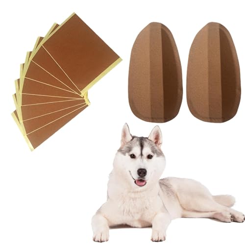 Ohrbefestigung für Haustiere – Stehende Halterung für Hunde, die Dober Man Ohrenschiene | Bequeme Ohrpositionierung, sichere Passform, leichtes Design zum Tragen Ohrbefestigung für Haustiere – Stehende Halterung für Hunde, die Dober Man Ohrenschiene | Bequeme Ohrpositionierung, sichere Passform, leichtes Design zum Tragen von Générique