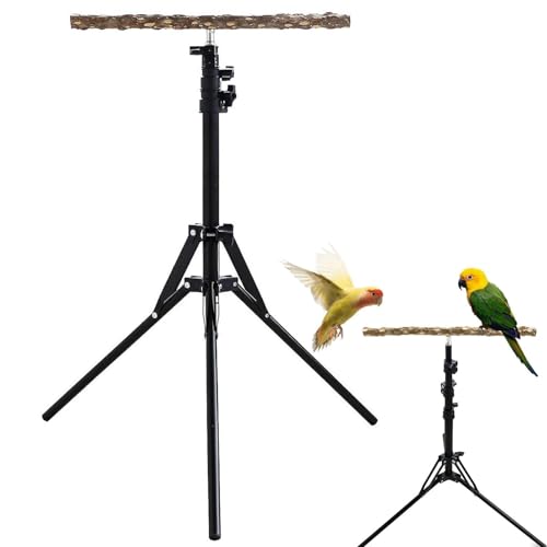 Papageienspielzeugständer – Vogelständer aus Naturholz, verstellbarer Vogelständer | 15,74 - 61,81 Zoll Höhe A verstellbar Perchy Stand, vielseitige Vogelhalterung für kleine, mittelgroße Vögel Papageienspielzeugständer – Vogelständer aus Naturholz, verstellbarer Vogelständer | 15,74 - 61,81 Zoll Höhe A verstellbar Perchy Stand, vielseitige Vogelhalterung für kleine, mittelgroße Vögel von Générique