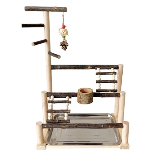 Parrot Playstand – Perrot Stand Playground, Parrot Playstand Gym, Zubehör für Parrocchetti-Käfige für Parroc | Unterstützung für Vögel für Papageien, wichtige Unterstützung von Parkroken Parrot Playstand – Perrot Stand Playground, Parrot Playstand Gym, Zubehör für Parrocchetti-Käfige für Parroc | Unterstützung für Vögel für Papageien, wichtige Unterstützung von Parkroken von Générique
