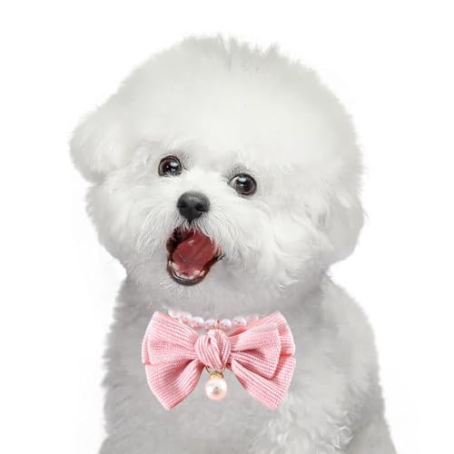 Perlenhalsband für Hunde, verstellbare Basis-Hundehalsbänder – elegantes abnehmbares Perlen-Halsband für Hunde, elegantes Perlen-Halsband für Haustiere von Générique