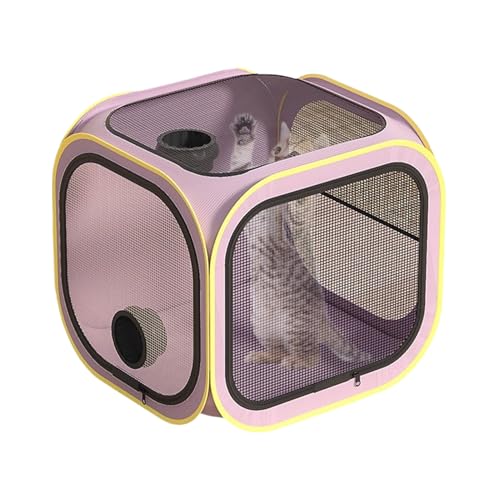 Pet Dryer Box, tragbare Grooming-Korte, Anti-Haar-Flying-Käfig, Heat-Safe-Box für Katzen, Hunde und Puppies zu Hause oder auf Reisen, 40,6 x 40,6 x 40,6 cm, Blau, Violett Pet Dryer Box, tragbare Grooming-Korte, Anti-Haar-Flying-Käfig, Heat-Safe-Box für Katzen, Hunde und Puppies zu Hause oder auf Reisen, 40,6 x 40,6 x 40,6 cm, Blau, Violett von Générique