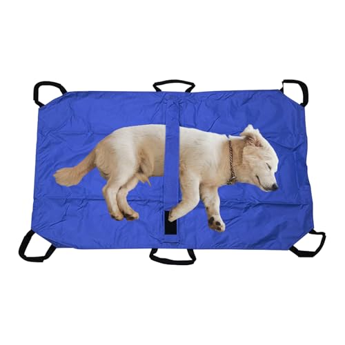 Pet Rescue Equipment, Animal Transfer Tool, Foldable Lightweight Design, Secure Safety Strap, Ideal for Medium Large Cats and Bunnies in Rescue Transport Situationen, 47,24 x 29,13 x 1,18 Zoll Pet Rescue Equipment, Animal Transfer Tool, Foldable Lightweight Design, Secure Safety Strap, Ideal for Medium Large Cats and Bunnies in Rescue Transport Situationen, 47,24 x 29,13 x 1,18 Zoll von Générique