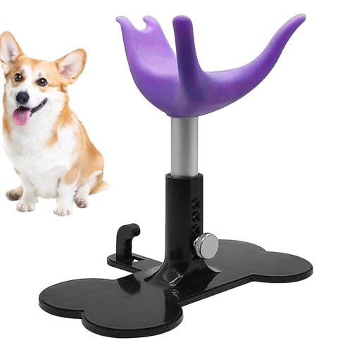 Pflegestuhl für Hunde | Höhenverstellbare Halterung für Fellpflege und Baden, verstellbare Leiter für Dusche, Bürsten und Hundepflege von Générique