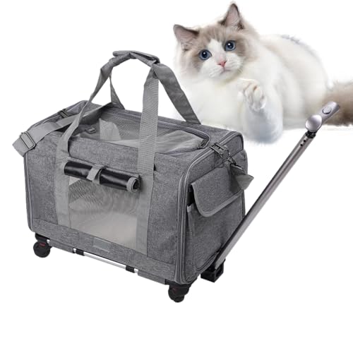 Reisetasche für Hunde – Kleine Hunde / Cat Carrier mit Rädern, tragbarer Trolley von Angesicht zu Seite | Tiertragetasche für Fluggesellschaften zugelassen mit Sicherheitsreißverschluss, Transport Reisetasche für Hunde – Kleine Hunde / Cat Carrier mit Rädern, tragbarer Trolley von Angesicht zu Seite | Tiertragetasche für Fluggesellschaften zugelassen mit Sicherheitsreißverschluss, Transport von Générique