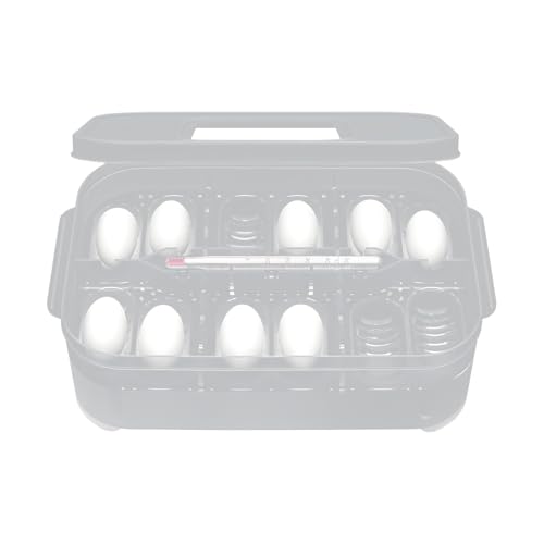 Reptile Breeding Box, 12 Grids Egg Hatcher, 6,3 x 4,33 Zoll, transparent, Inkubation, stabile Temperaturkontrolle, tragbar, wiederverwendbar, für Geckos, Lizards, Snakes, Amphibianer von Générique