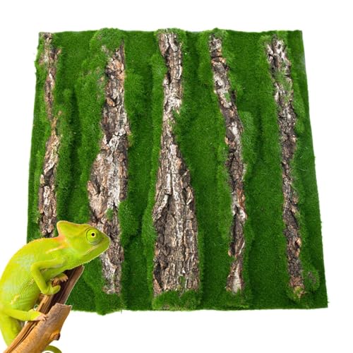 Reptile Cork Terrarium Context | Rindensalz für Lizard Terrarium Decor – Reptile Habitat Decor with Artificial Moss for Gecko Lizard Schildkröte Frog Reptile Cork Terrarium Context | Rindensalz für Lizard Terrarium Decor – Reptile Habitat Decor with Artificial Moss for Gecko Lizard Schildkröte Frog von Générique