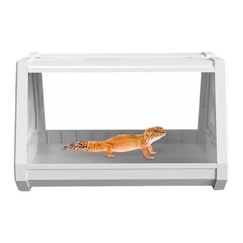 Reptile Terrarium, Habitat Gage for Bearded Dragon, Trapezoidal Design for Expanded Viewing, Secure and ventilated Enclosure, Easy-to-Clean Material, Ideal Reptile Habitat von Générique